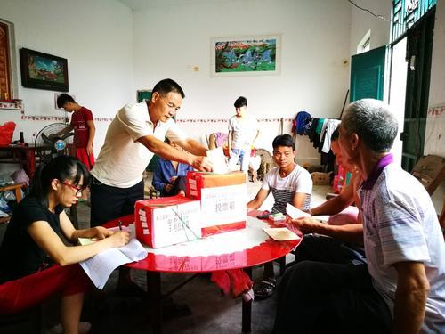 广西东兰县开展县乡人大代表选举