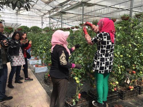 首届银川春季农业嘉年华活动4月22日启动