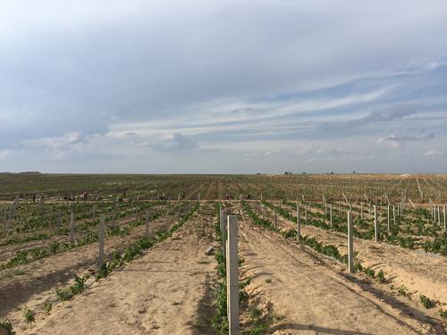 ��ɽ��´���������ѾƵ��²���