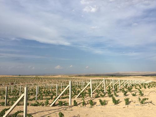 ��ɽ��´���������ѾƵ��²���