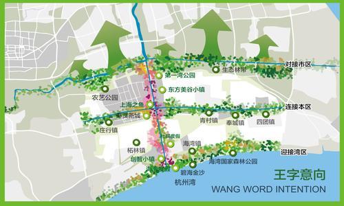 上海奉贤建50平方公里农艺公园