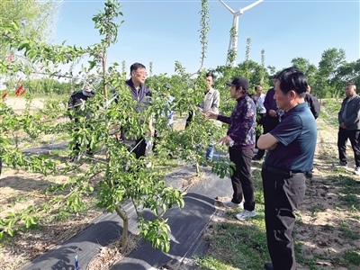 内蒙古通辽：全力创建全国民族团结进步示范市