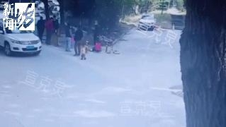 飞来横祸！上海1岁男童小区内遭碾压身亡，爷爷当时就在身旁