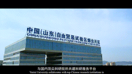 向海而生！烟台大学2025年宣传片重磅发布！