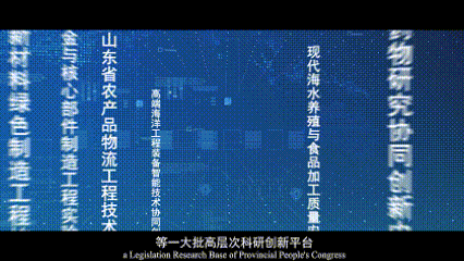 向海而生！烟台大学2025年宣传片重磅发布！