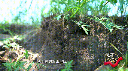 探循西辽河