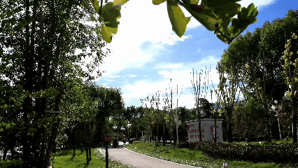 遇见你,美丽西藏!