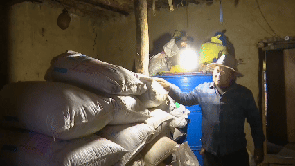 青稞“蜕变”,牦牛“出圈”!看西藏农牧民的“十四五”丰收答卷 青稞“蜕变”,牦牛“出圈”!看西藏农牧民的“十四五”丰收答卷