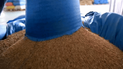 青稞“蜕变”,牦牛“出圈”!看西藏农牧民的“十四五”丰收答卷 青稞“蜕变”,牦牛“出圈”!看西藏农牧民的“十四五”丰收答卷