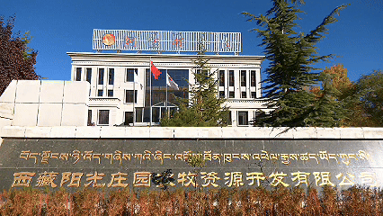 青稞“蜕变”,牦牛“出圈”!看西藏农牧民的“十四五”丰收答卷 青稞“蜕变”,牦牛“出圈”!看西藏农牧民的“十四五”丰收答卷