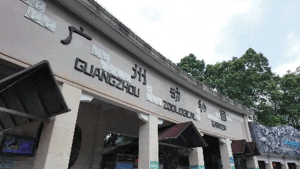 为了这届全运会，你不知道广州有多拼