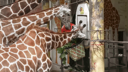 为了这届全运会，你不知道广州有多拼