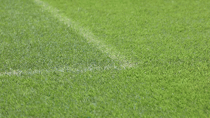 为了这届全运会，你不知道广州有多拼