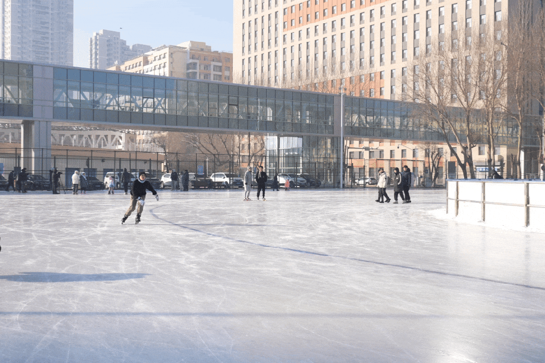 在哈工大，冬天就是要尽情撒欢……