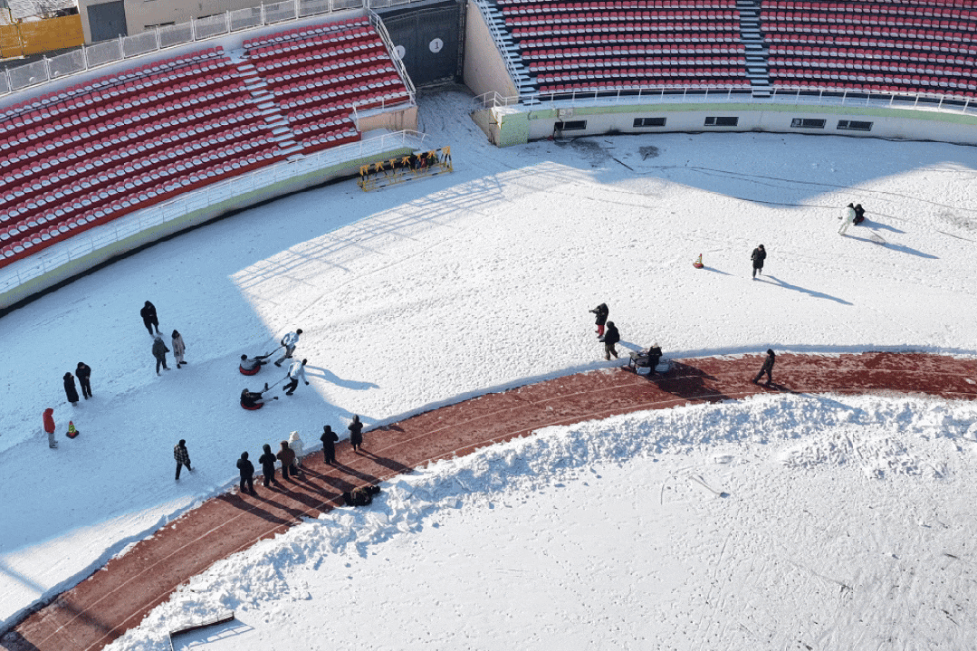 在哈工大，冬天就是要尽情撒欢……