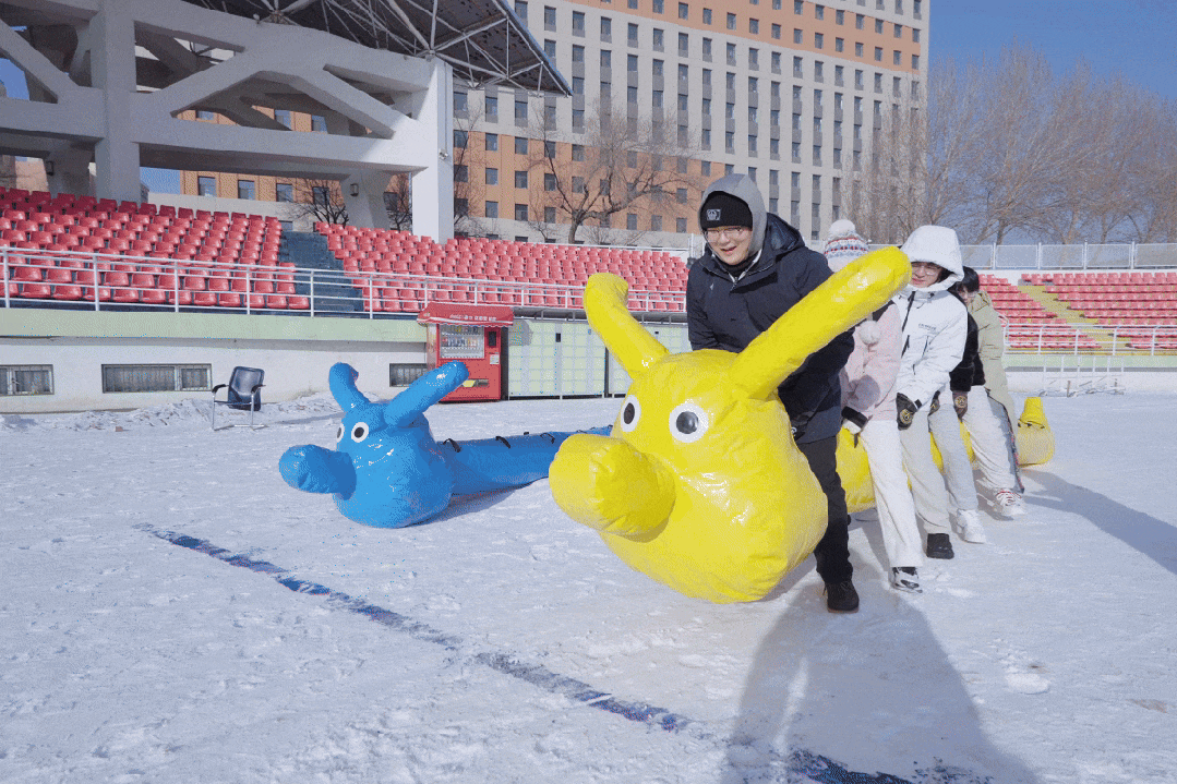 在哈工大，冬天就是要尽情撒欢……