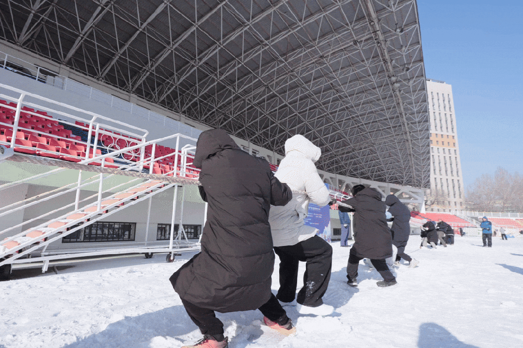 在哈工大，冬天就是要尽情撒欢……