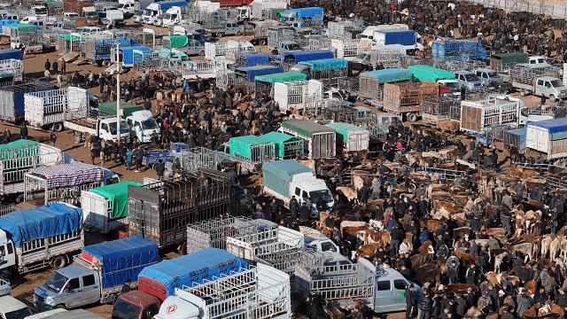 在新疆的巴扎 他们是连接牧场和市场的“纽带” 在新疆的巴扎 他们是连接牧场和市场的“纽带”