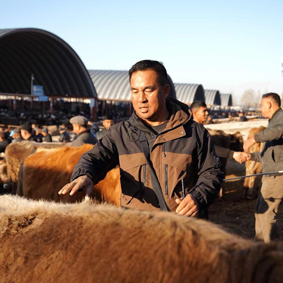 在新疆的巴扎 他们是连接牧场和市场的“纽带”
