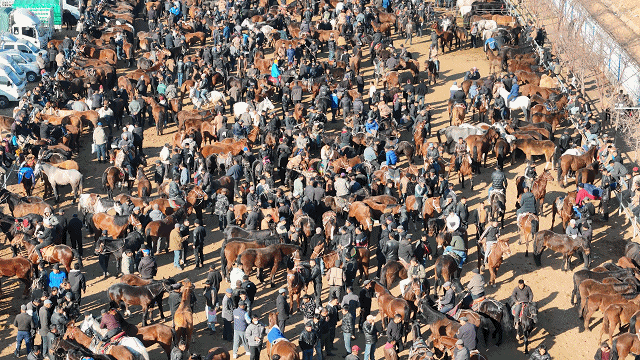 在新疆的巴扎 他们是连接牧场和市场的“纽带” 在新疆的巴扎 他们是连接牧场和市场的“纽带”