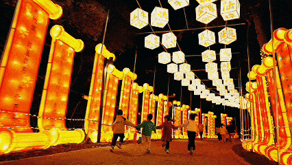 爱你老己!坪山元旦跨年狂欢攻略在此!| 2026来了