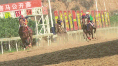 “村字号” 为贵州春节旅游热度加 “马”