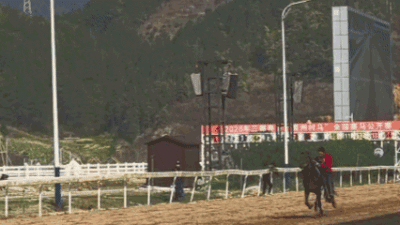 “村字号” 为贵州春节旅游热度加 “马”