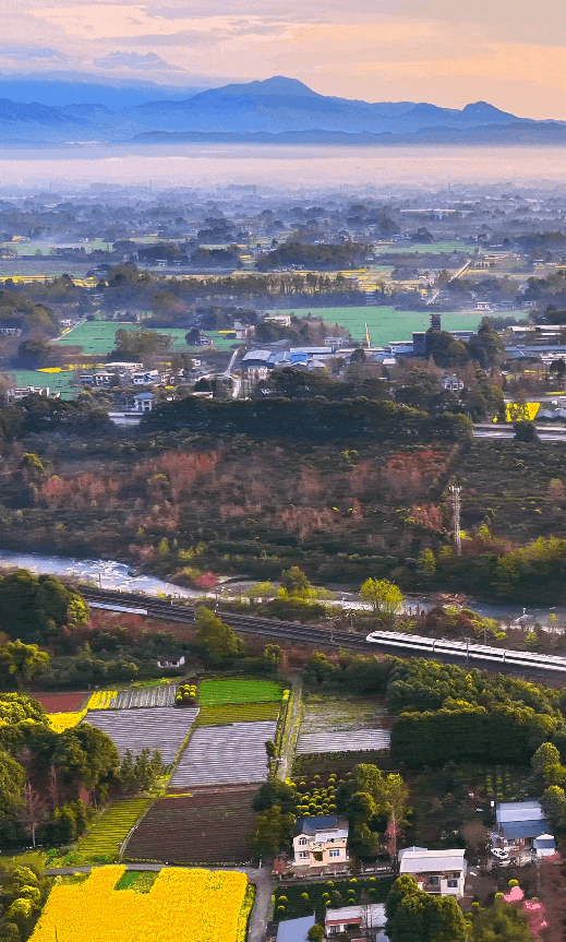 外交部发言人海外推荐成都!