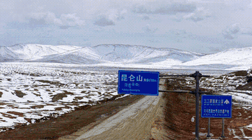 生命树·看见守护的答案