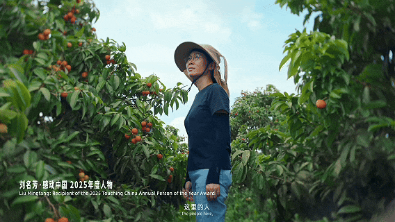 2026广东形象片《风起南粤》正式上线 图片