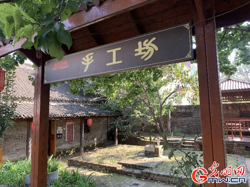 【母亲河畔的中国】河南开封兰考县张庄村：从大风口到先进村