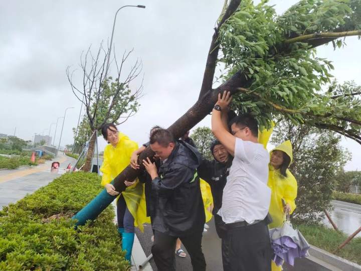 甬战“梅花”丨风雨中，宁波纪检监察干部挺进防台一线，除险保安！