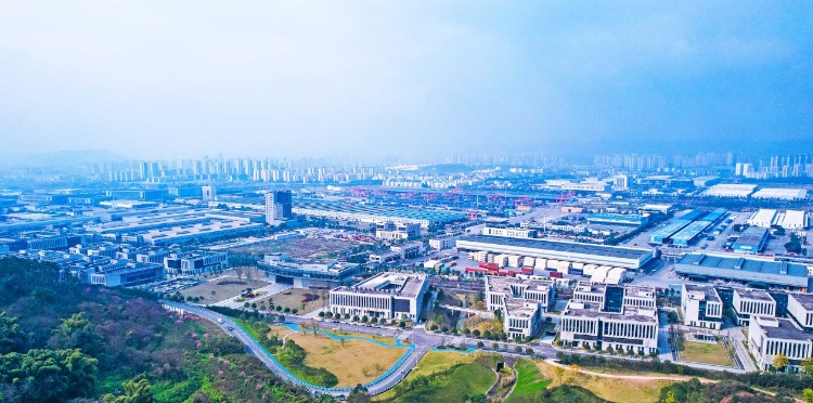 为民生、为发展、为城市更新服务 重庆沙坪坝全力推动国有资产盘活增效