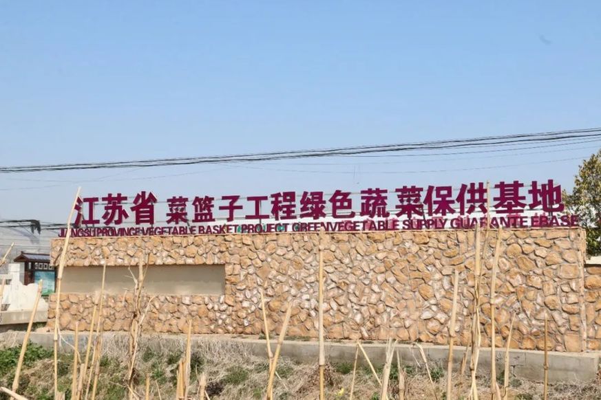 江苏东海“双品”上榜全国名特优新农产品：东海茄子与洪庄花生的共富密码