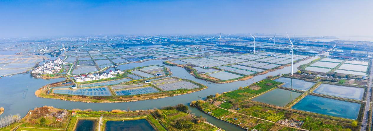 江苏阳澄湖镇：消泾村入选全国文明村