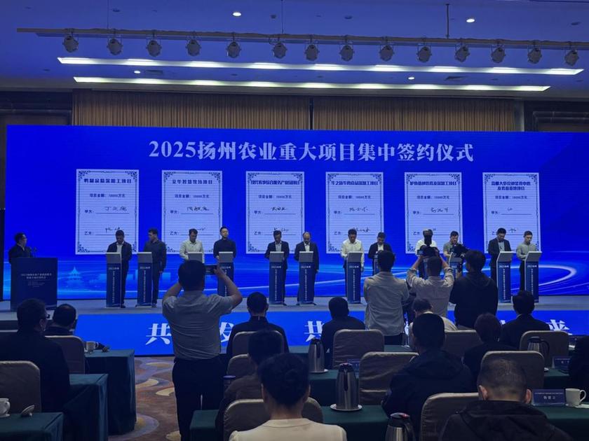 江苏高邮：攻坚重点项目建设 激发产业发展活力