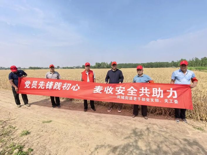 江苏徐州凤城街道：桑榆未晚，助力麦收展担当