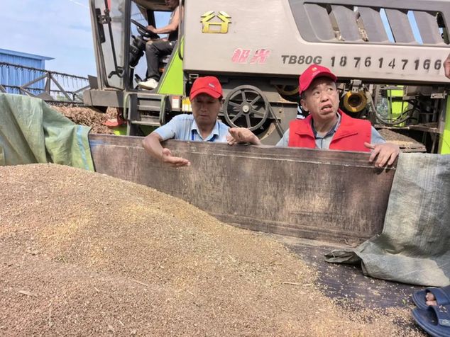 江苏徐州凤城街道：桑榆未晚，助力麦收展担当
