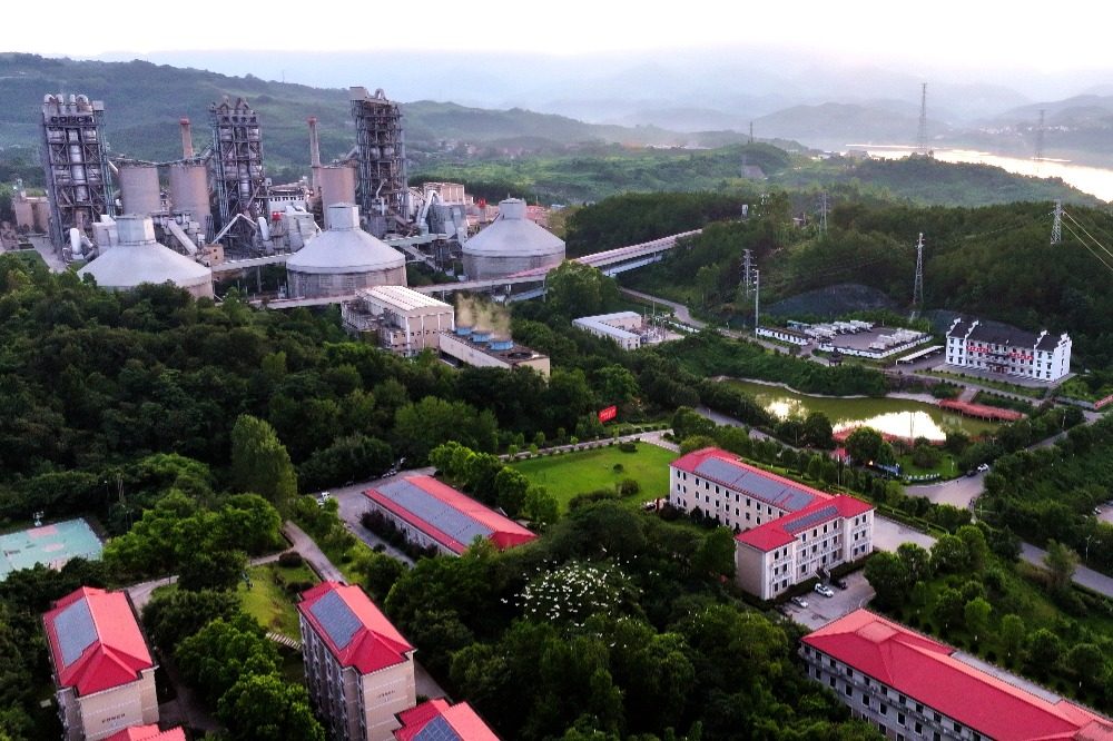 重庆忠县一水泥厂生态转型引3000余只珍禽安家