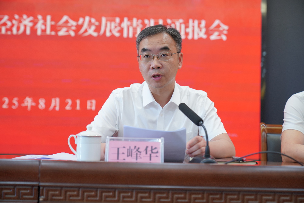 江苏省启东经济开发区召开2025年上半年经济社会发展情况通报会