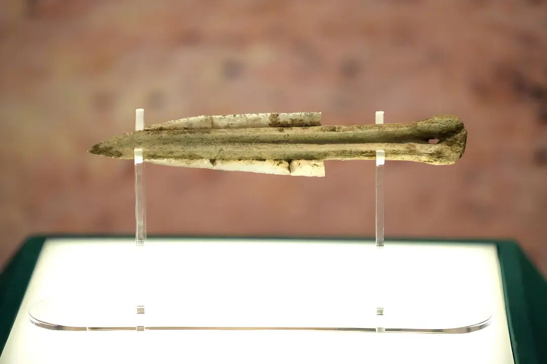 西辽河印记 | 史前瑰宝 辉耀东方