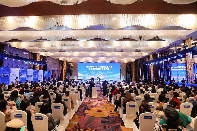 智汇“她”力量 重庆市妇联发布AI“她”创计划