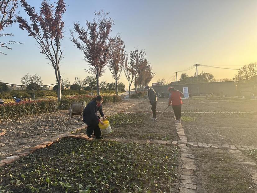 居民“忧”变治理“优” 江苏省邗江区瓜洲镇陈家湾社区用“微改造”绘就民生“幸福圆”