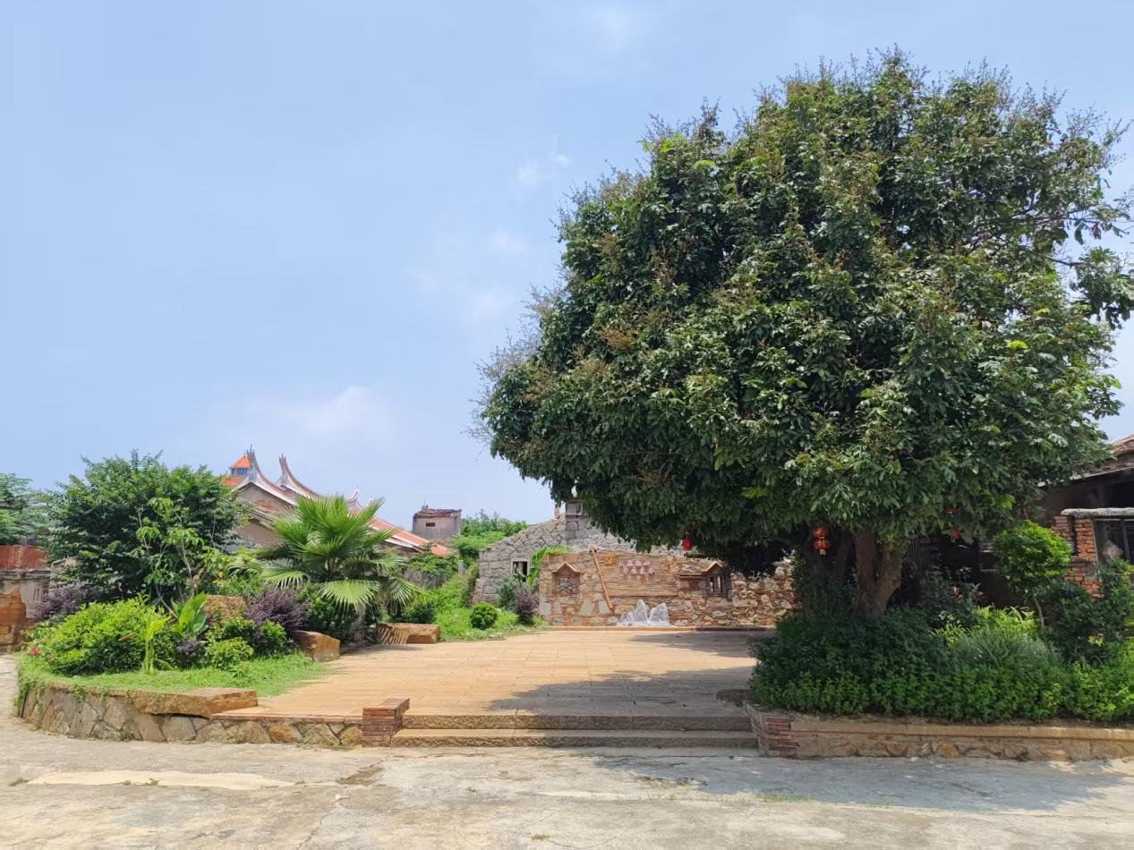 福建惠安：两岸携手打造古村蝶变新样本