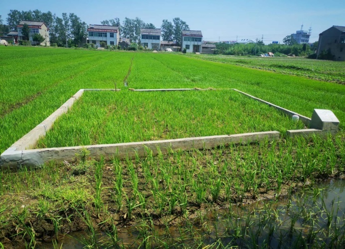 江苏高邮：加强耕地保护 提升耕地质量