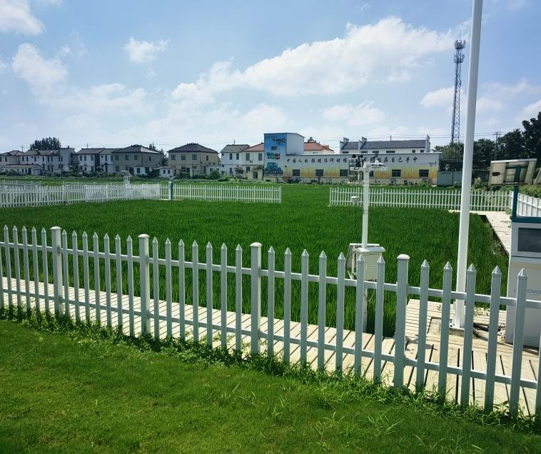 江苏高邮：加强耕地保护 提升耕地质量