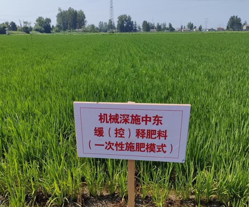 江苏高邮：加强耕地保护 提升耕地质量