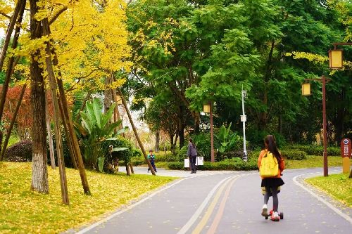 成都邛崃把“民生愿景”变成“幸福实景”