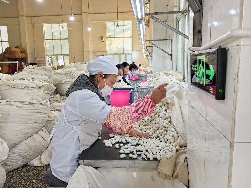 四川凉山：农业循环经济链激活区域发展新动能