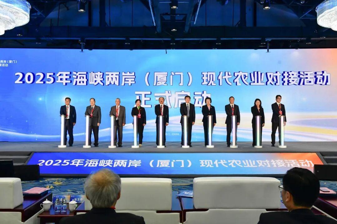 300余嘉宾齐聚福建同安，共绘两岸融合好“丰”景